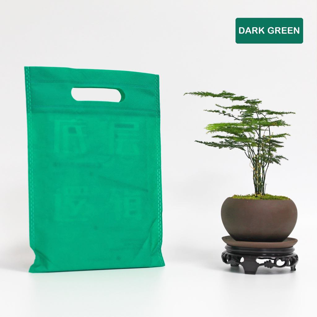 Eco-bag Flat Green