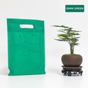 Eco-bag Flat Green